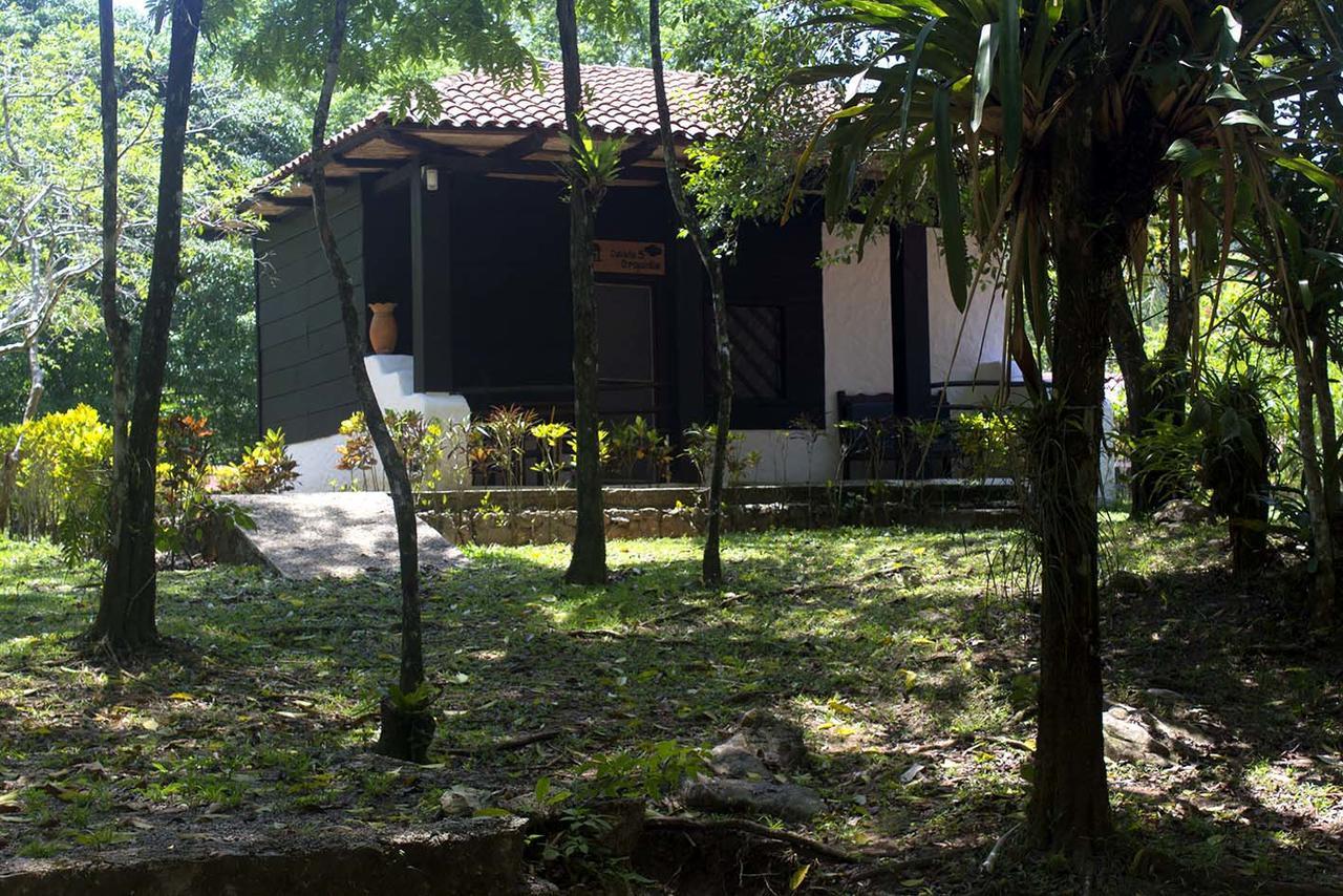 Ecolodge Las Nubes Chiapas La Fortuna Gallo Giro Exterior photo