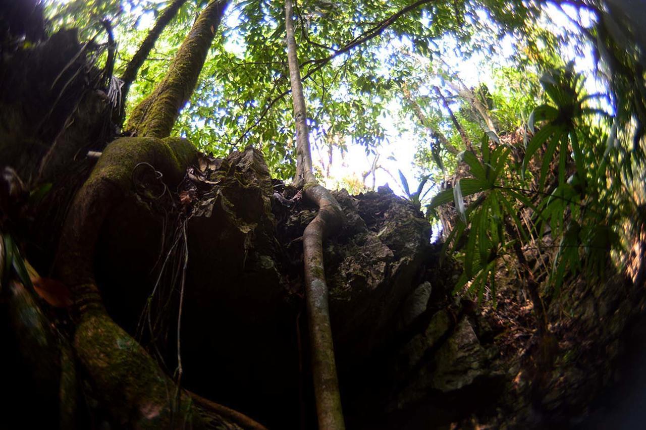 Ecolodge Las Nubes Chiapas La Fortuna Gallo Giro Exterior photo