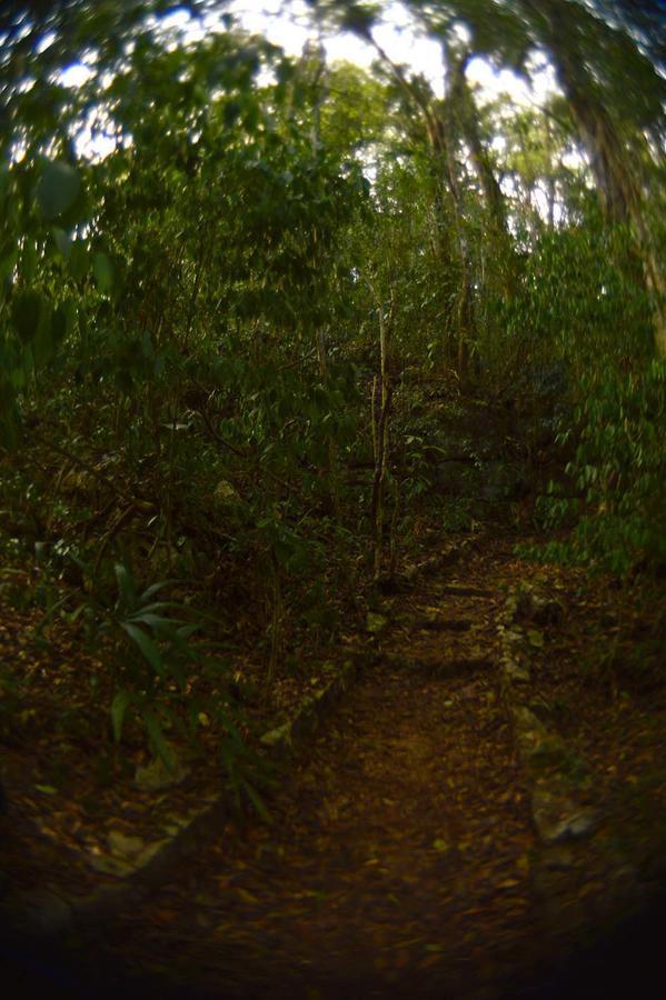 Ecolodge Las Nubes Chiapas La Fortuna Gallo Giro Exterior photo